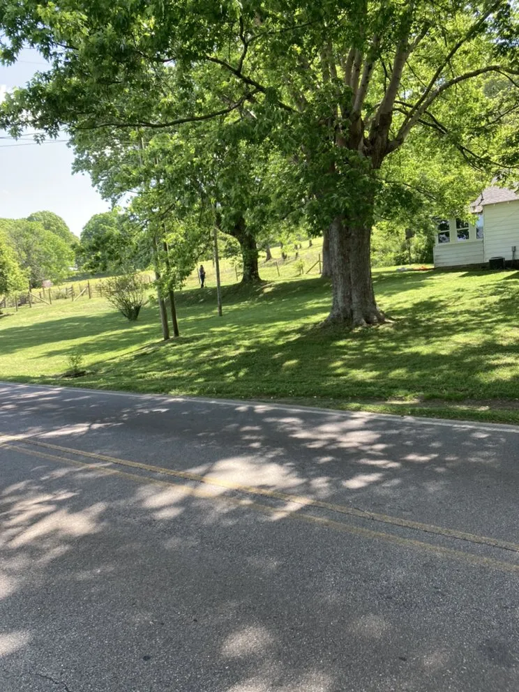 Top-rated yard maintenance for homes across Ellijay, GA - Pryor And Sons Landscaping&Pressure Washing