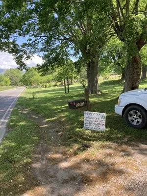 Pryor And Sons Landscaping&Pressure Washing Logo