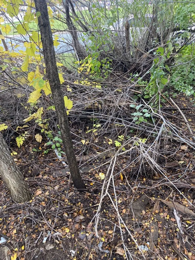 Local residential landscaping experts serving Saint Paul, MN - Pryor and sons lawn care and landscaping