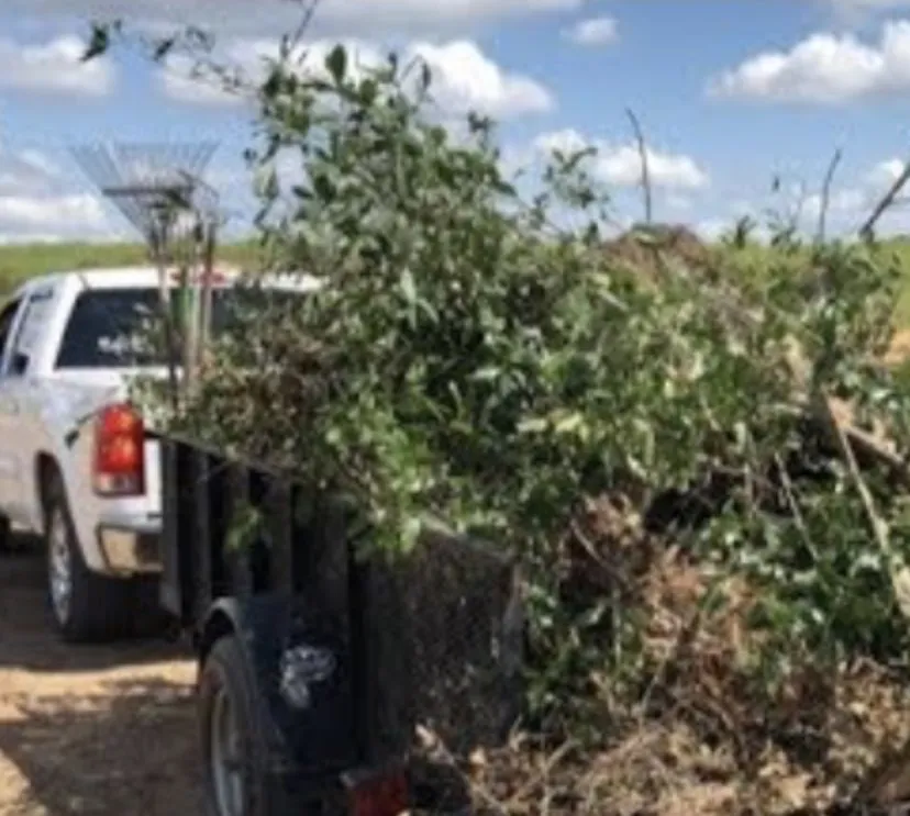 Top-rated outdoor landscaping in Saint Paul, MN by Pryor and sons lawn care and landscaping