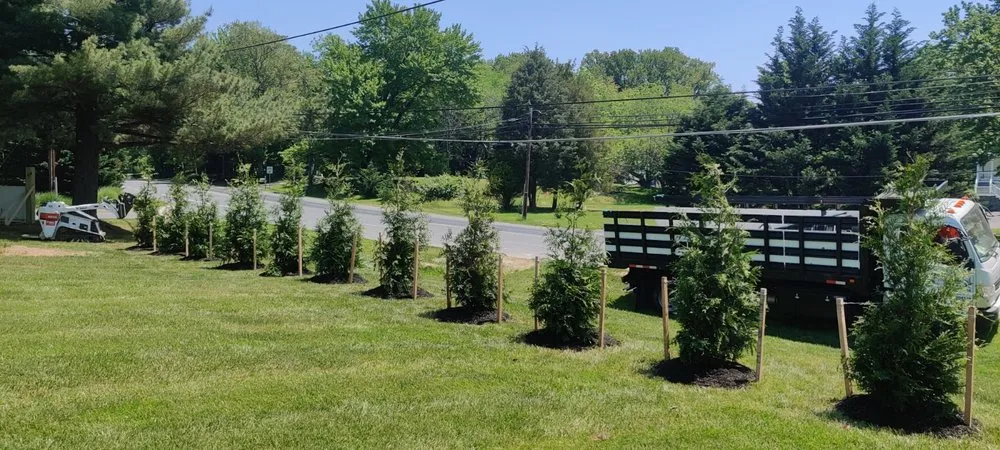 Custom yard cleanup service experts serving Damascus, MD - Pryor's Nursery