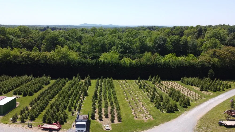 Professional yard cleanup service experts serving Damascus, MD - Pryor's Nursery