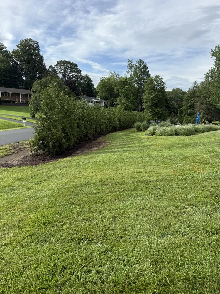 Top-rated yard cleanup service for residential properties across Damascus, MD - Pryor's Nursery