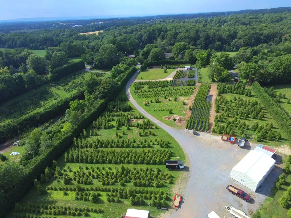 Affordable landscape design for residential properties across Damascus, MD - Pryor's Nursery