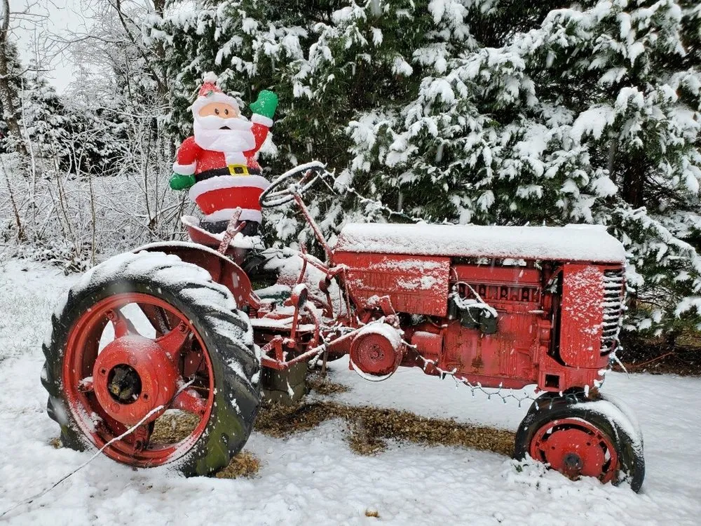 Professional lawn care service for residential properties in Damascus, MD by Pryor's Nursery