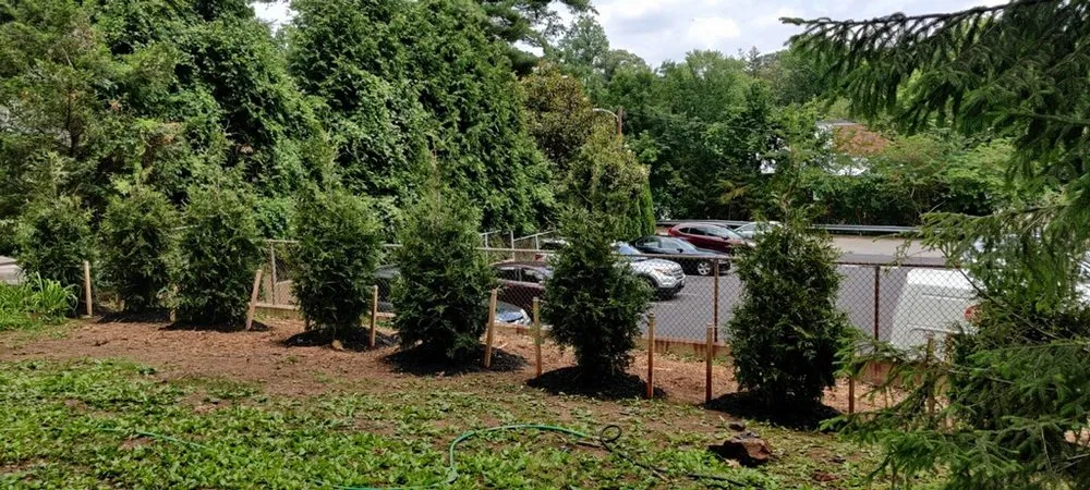 Trusted landscape installation for beautiful yards in Damascus, MD by Pryor's Nursery