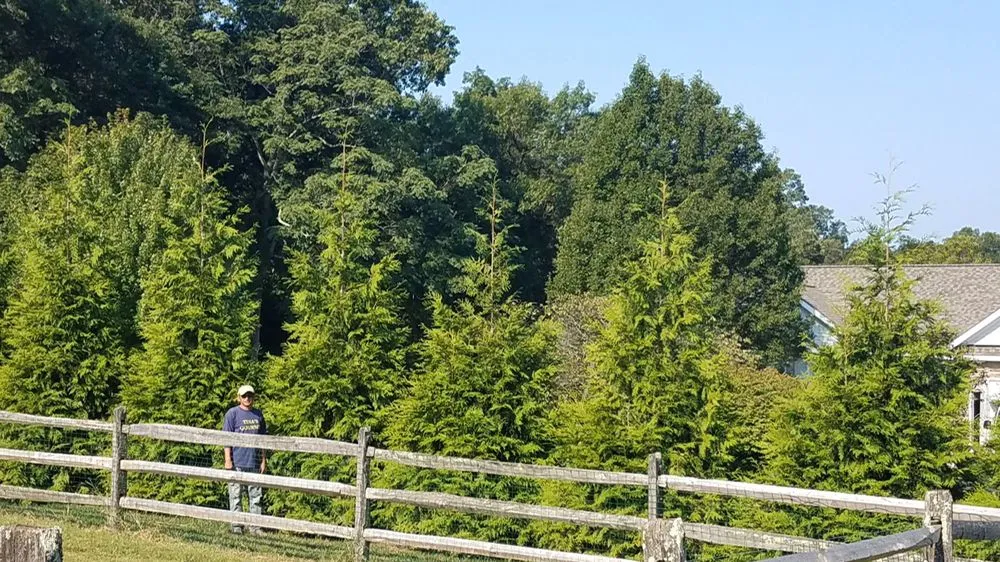 Local lawn care service in Damascus, MD - Pryor's Nursery