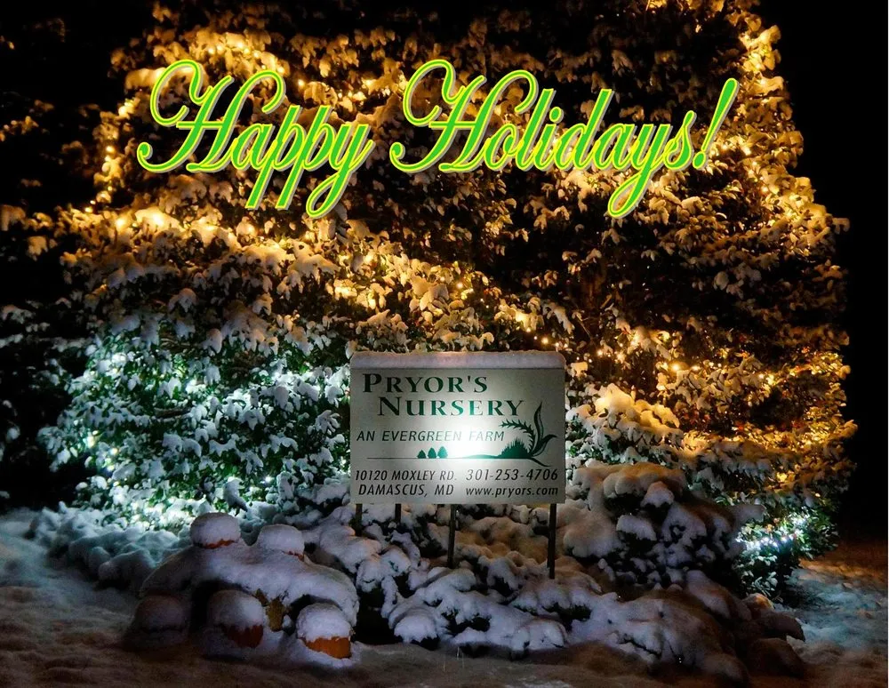 Custom landscape design with custom design across Damascus, MD - Pryor's Nursery