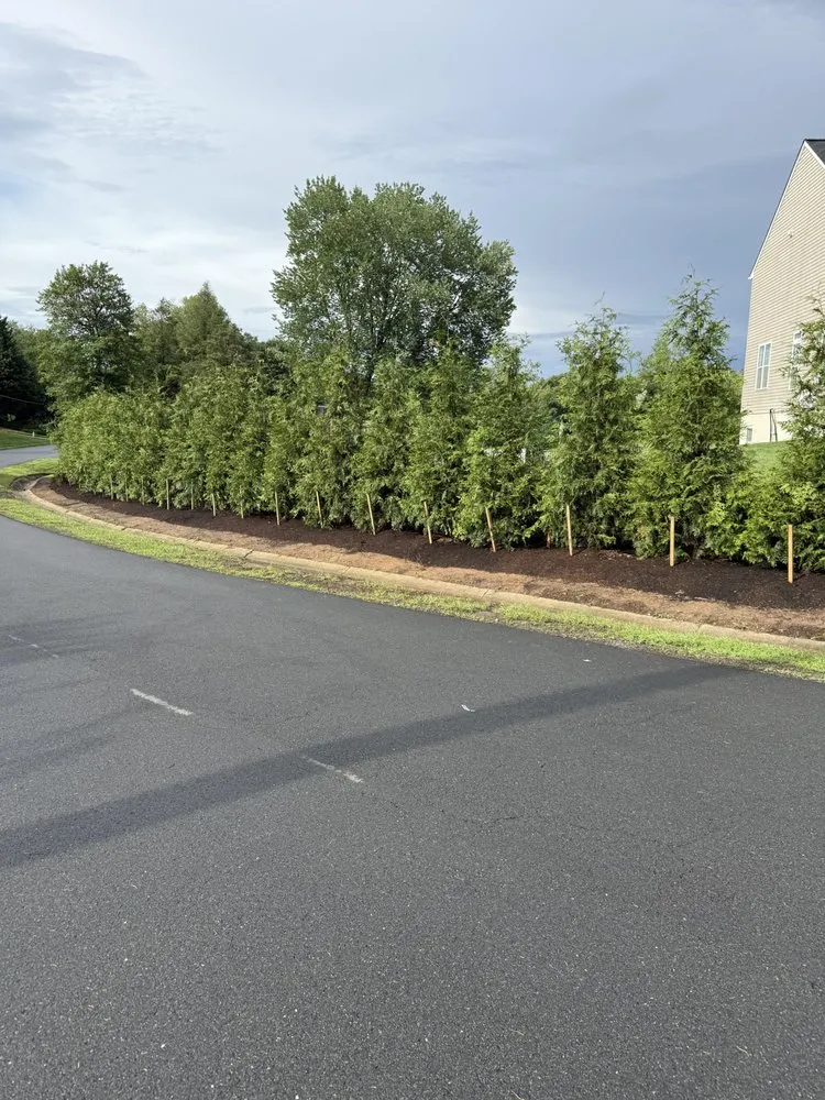 Trusted landscape installation for year-round maintenance across Damascus, MD - Pryor's Nursery