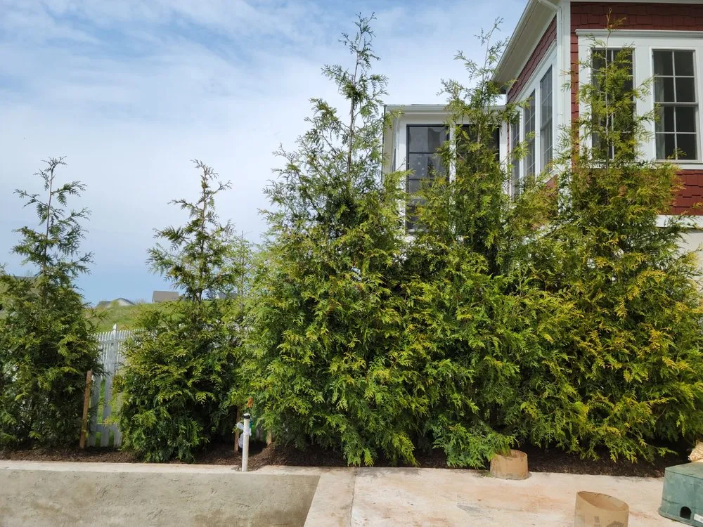 Trusted residential landscaping in Damascus, MD by Pryor's Nursery