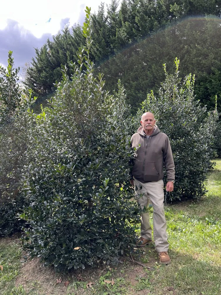 Expert outdoor landscaping in Damascus, MD by Pryor's Nursery