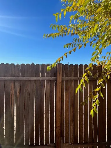 Affordable landscaping services in Espanola, NM by PRZ