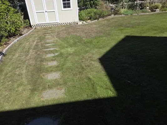 P&S Landscaping & Pressure Washing Logo