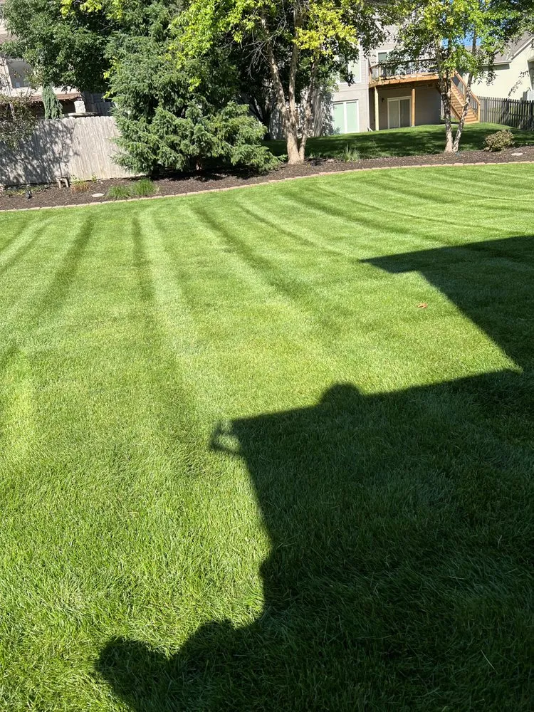Affordable yard cleanup service experts serving Omaha, NE - Ps Landscaping