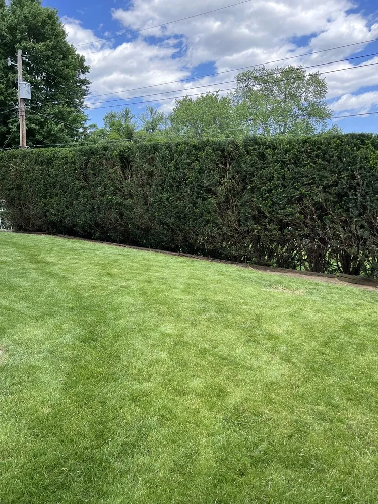 Custom garden landscaping with custom design across Omaha, NE - Ps Landscaping