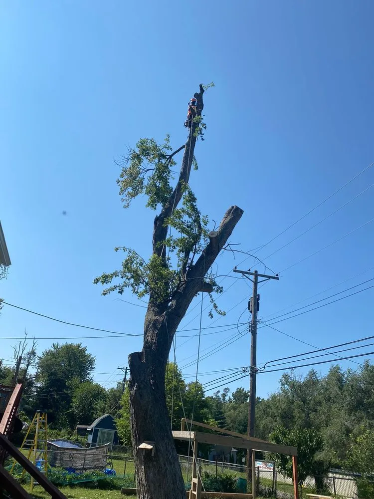 Local landscape design with custom design in Omaha, NE by Ps Landscaping