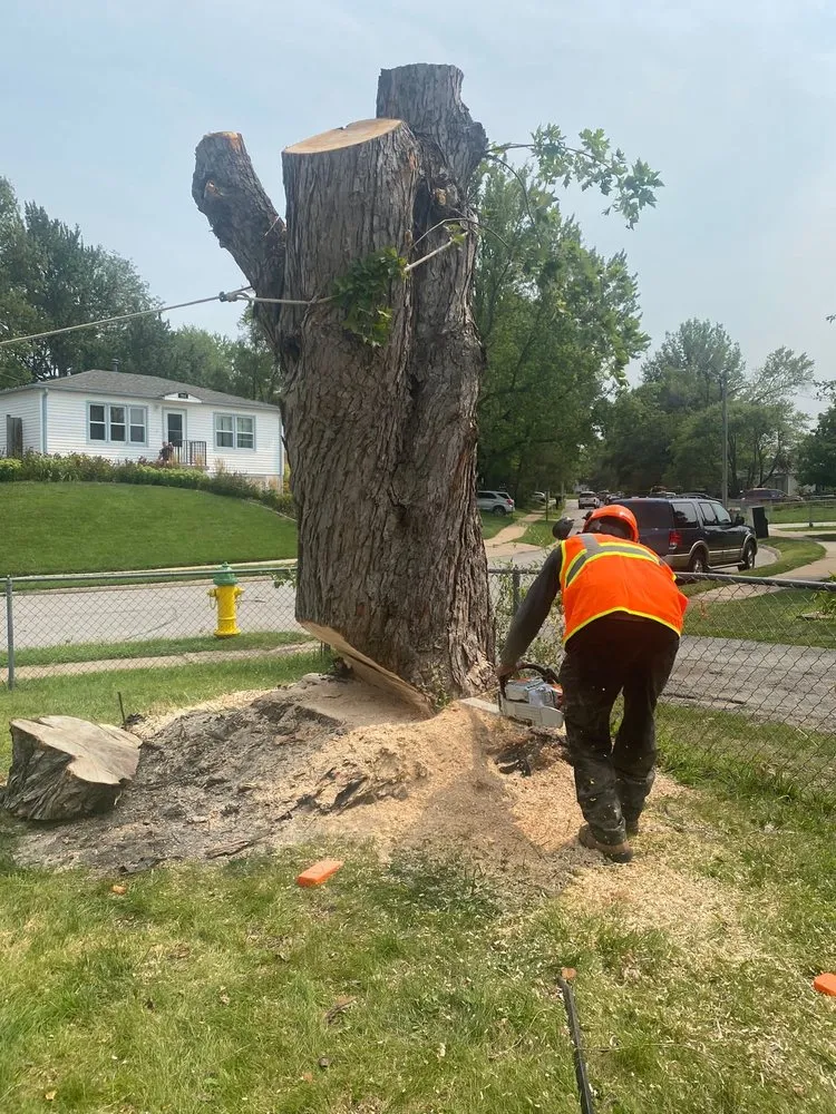 Expert lawn mowing service for beautiful yards across Omaha, NE - Ps Landscaping