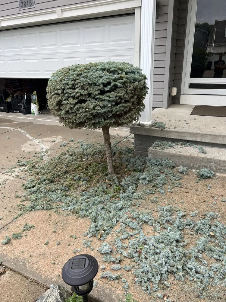 Trusted lawn mowing service in Omaha, NE - Ps Landscaping