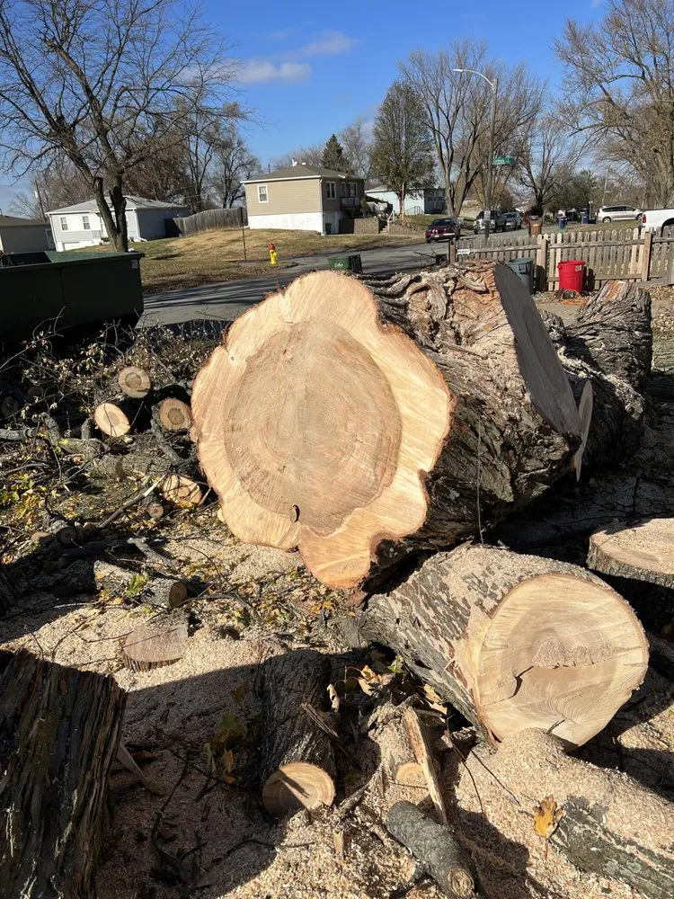 Expert lawn care service experts serving Omaha, NE - Ps Landscaping