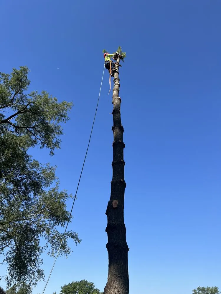 Local outdoor landscaping experts serving Omaha, NE - Ps Landscaping
