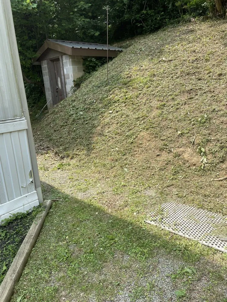 Local yard cleanup service with custom design across Pineville, WV - PS Mowing
