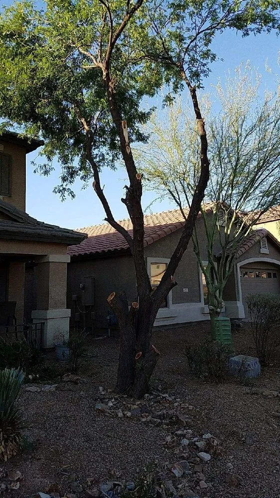 Professional landscaping services experts serving Maricopa, AZ - P&S Services Pool Service and Landscaping