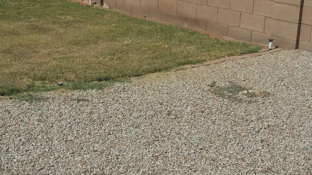 Custom lawn mowing service experts serving Maricopa, AZ - P&S Services Pool Service and Landscaping