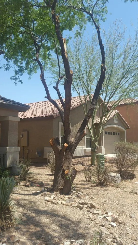 Top-rated landscape installation in Maricopa, AZ - P&S Services Pool Service and Landscaping