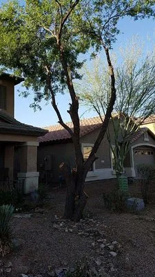 P&S Services Pool Service and Landscaping Logo