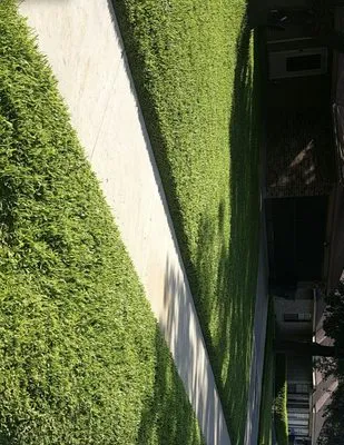 Psalms 37:1-3 Landscaping & Daniel 4 Tree Trimming Logo