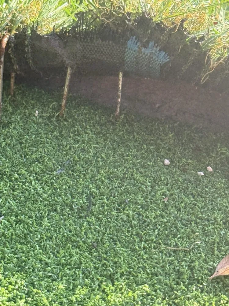 Local garden landscaping in Delray Beach, FL by PSB Home Solutions