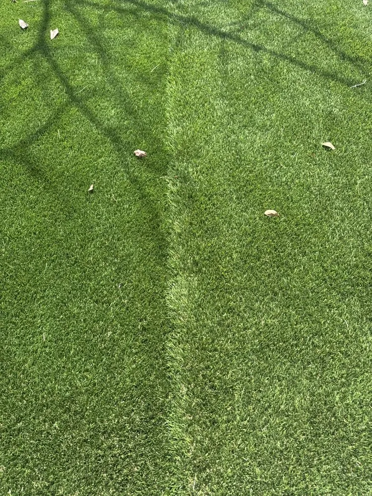 Expert yard cleanup service for beautiful yards in Delray Beach, FL by PSB Home Solutions