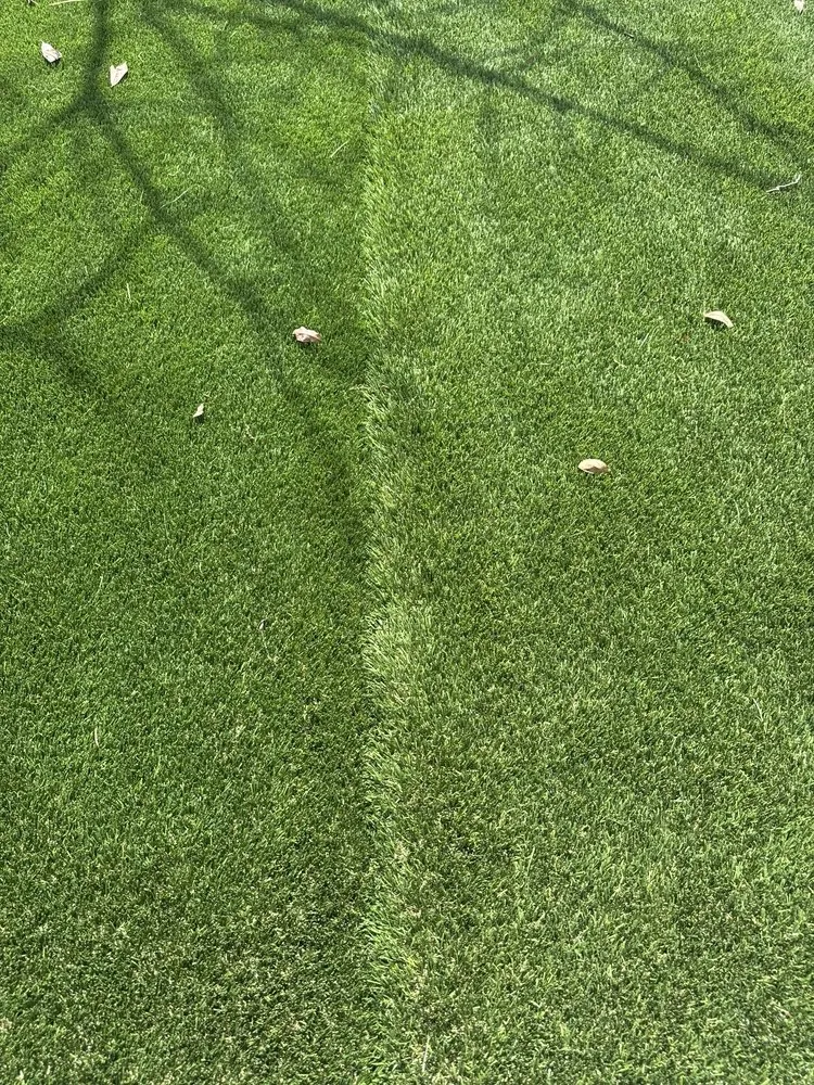 Local yard maintenance experts serving Delray Beach, FL - PSB Home Solutions