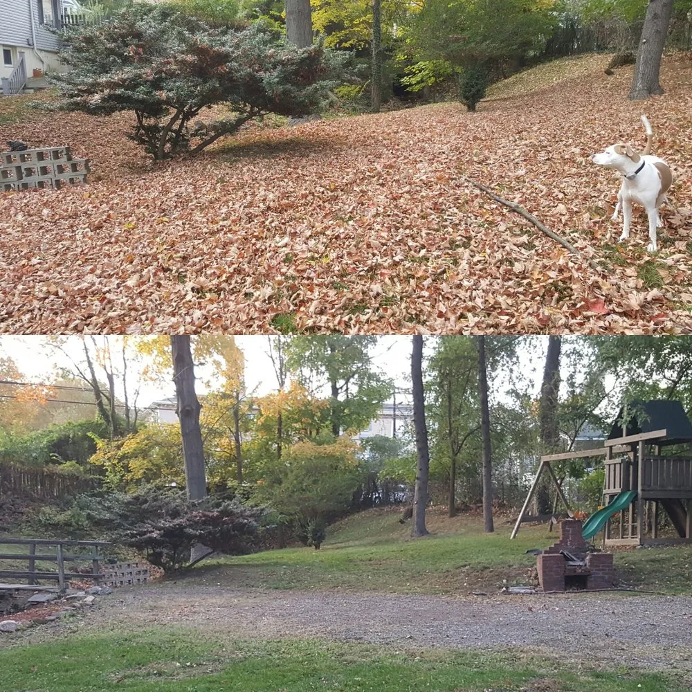 Affordable landscape design for year-round maintenance across East Rutherford, NJ - PSD Landscape & Contracting