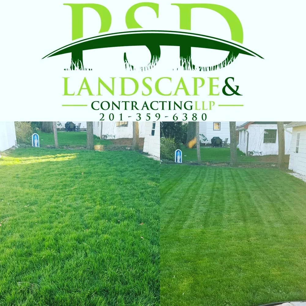 Reliable lawn mowing service near you across East Rutherford, NJ - PSD Landscape & Contracting