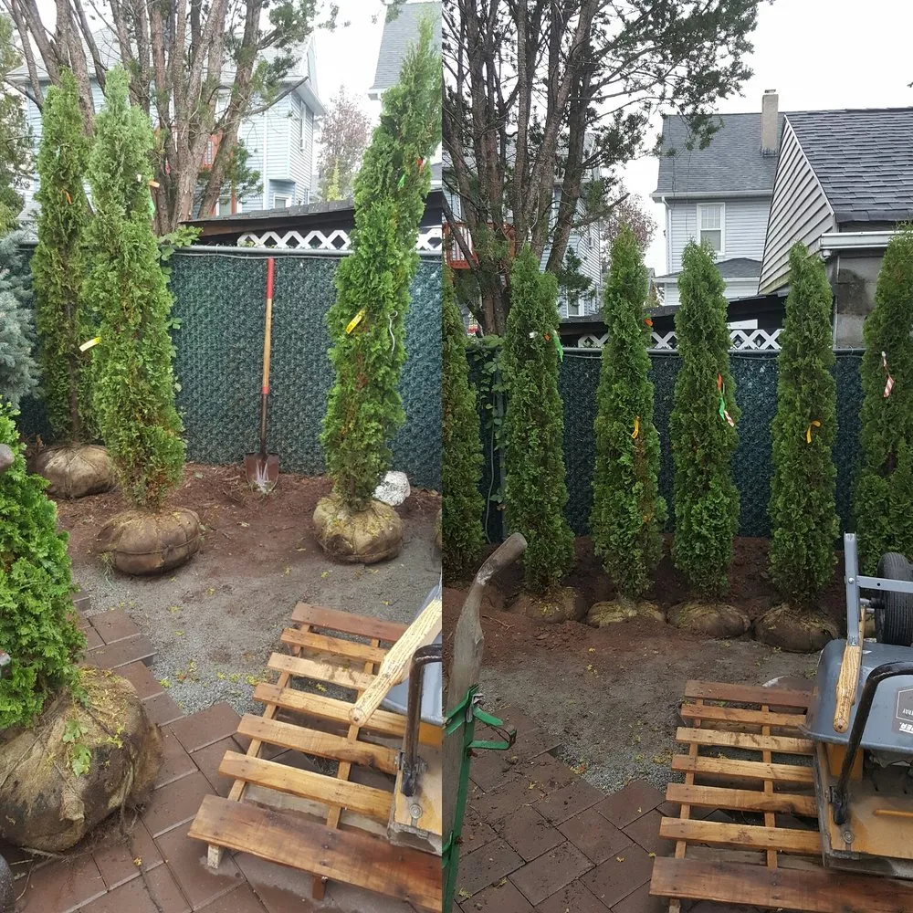 Trusted landscaping services experts serving East Rutherford, NJ - PSD Landscape & Contracting