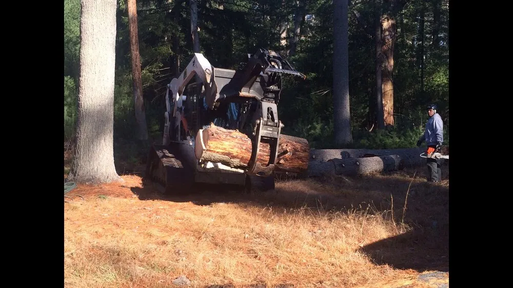 Reliable yard maintenance in Point Pleasant, NJ - PSD Tree and Landscape