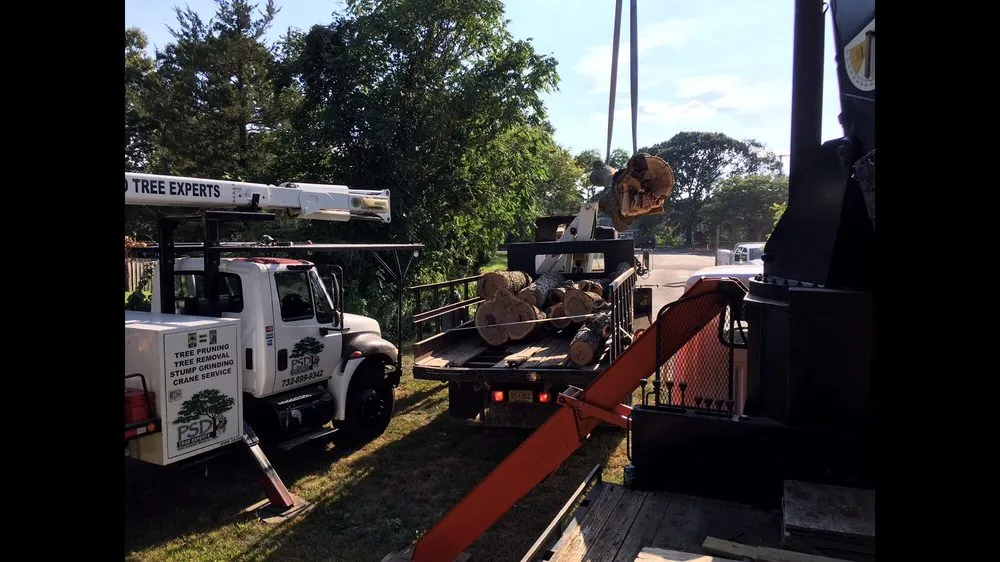 Top-rated landscape design in Point Pleasant, NJ by PSD Tree and Landscape