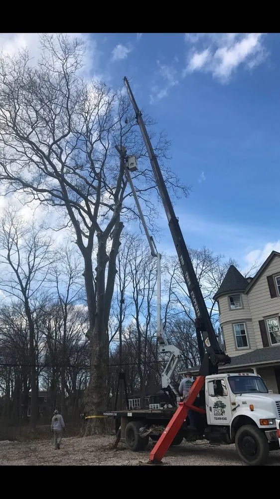 Custom lawn mowing service experts serving Point Pleasant, NJ - PSD Tree and Landscape