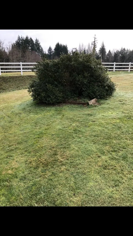 Affordable landscape installation for residential properties across Poulsbo, WA - PSG Lawn Care Service’s