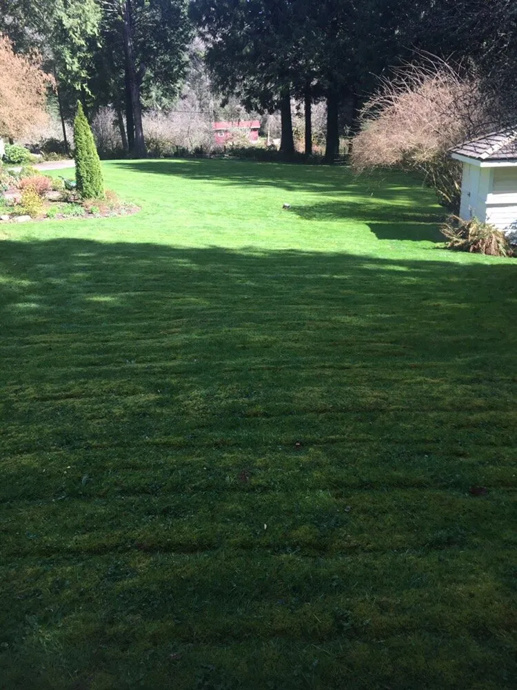 Custom landscape design in Poulsbo, WA - PSG Lawn Care Service’s
