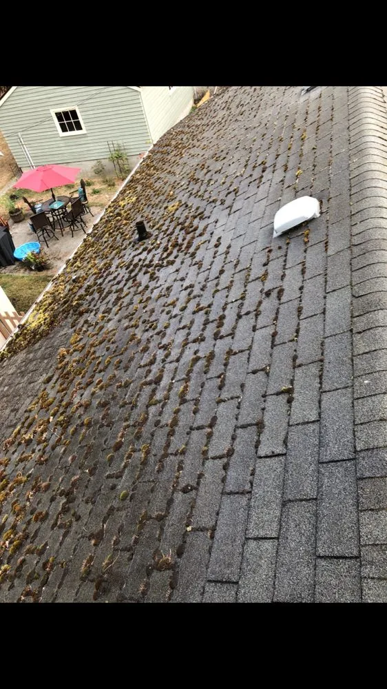 Reliable garden landscaping for outdoor upgrades in Poulsbo, WA by PSG Lawn Care Service’s