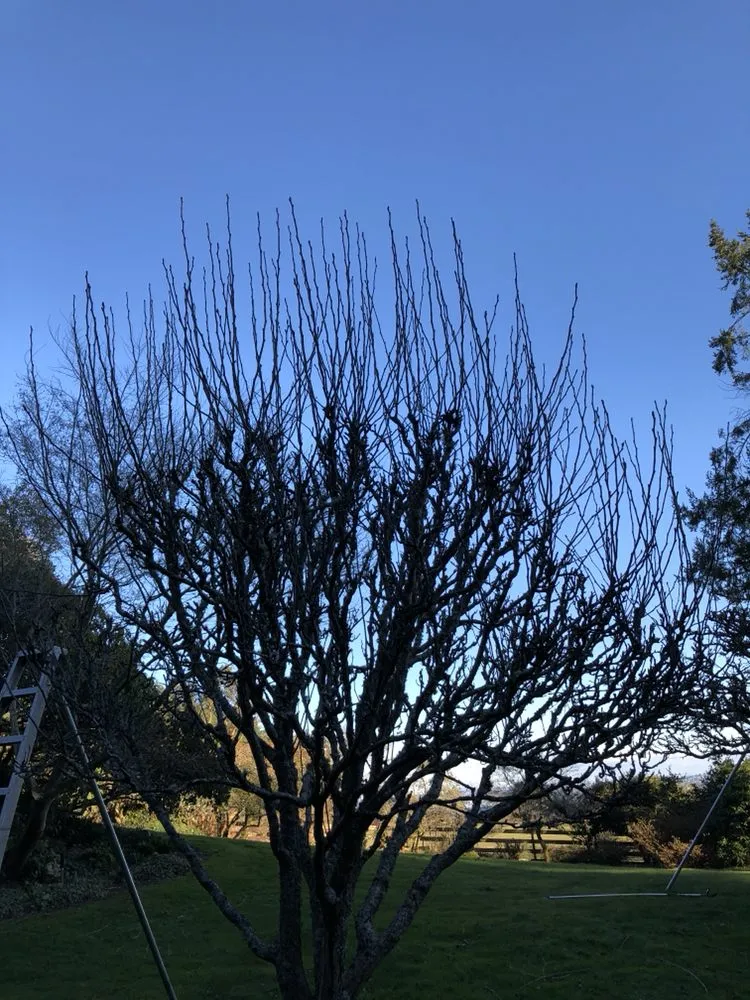 Professional lawn mowing service experts serving Poulsbo, WA - PSG Lawn Care Service’s