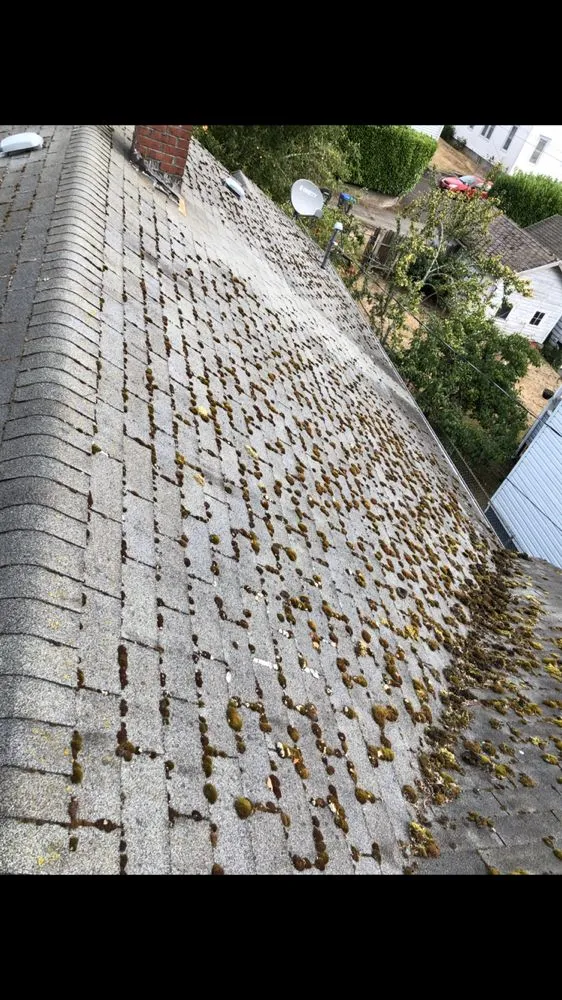 Top-rated garden landscaping in Poulsbo, WA by PSG Lawn Care Service’s