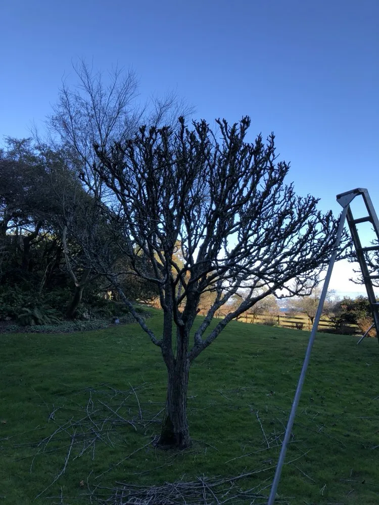 Expert garden landscaping for residential properties across Poulsbo, WA - PSG Lawn Care Service’s