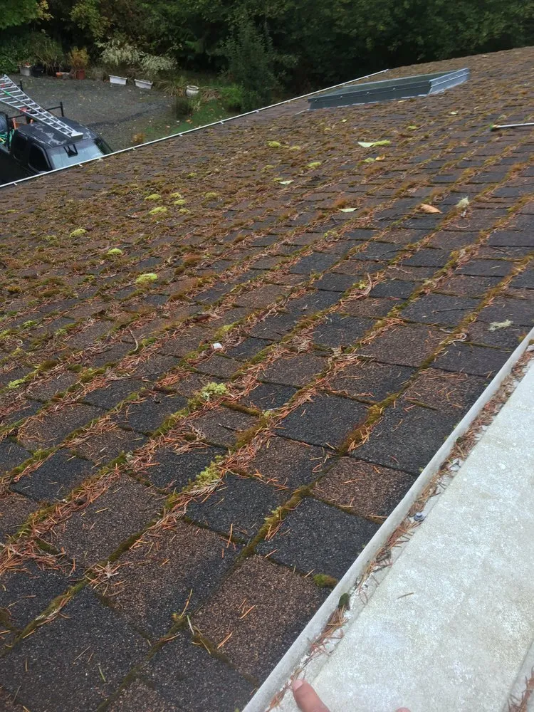 Expert landscaping services experts serving Poulsbo, WA - PSG Lawn Care Service’s