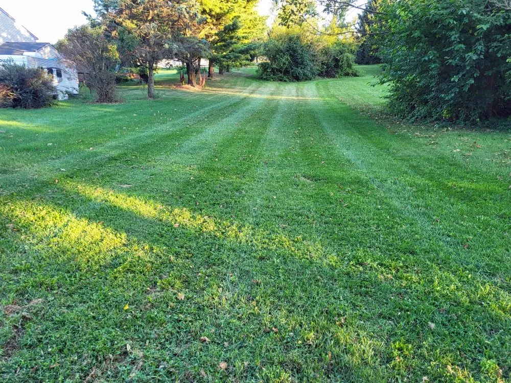 Local garden landscaping experts serving Mohrsville, PA - PSP Farms