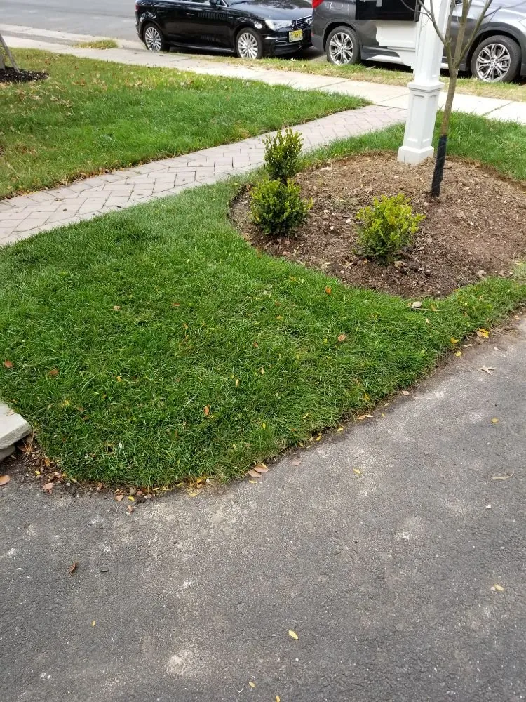 Top-rated yard maintenance for outdoor upgrades across Woodbridge, NJ - PSP Landscaping & Maintenance