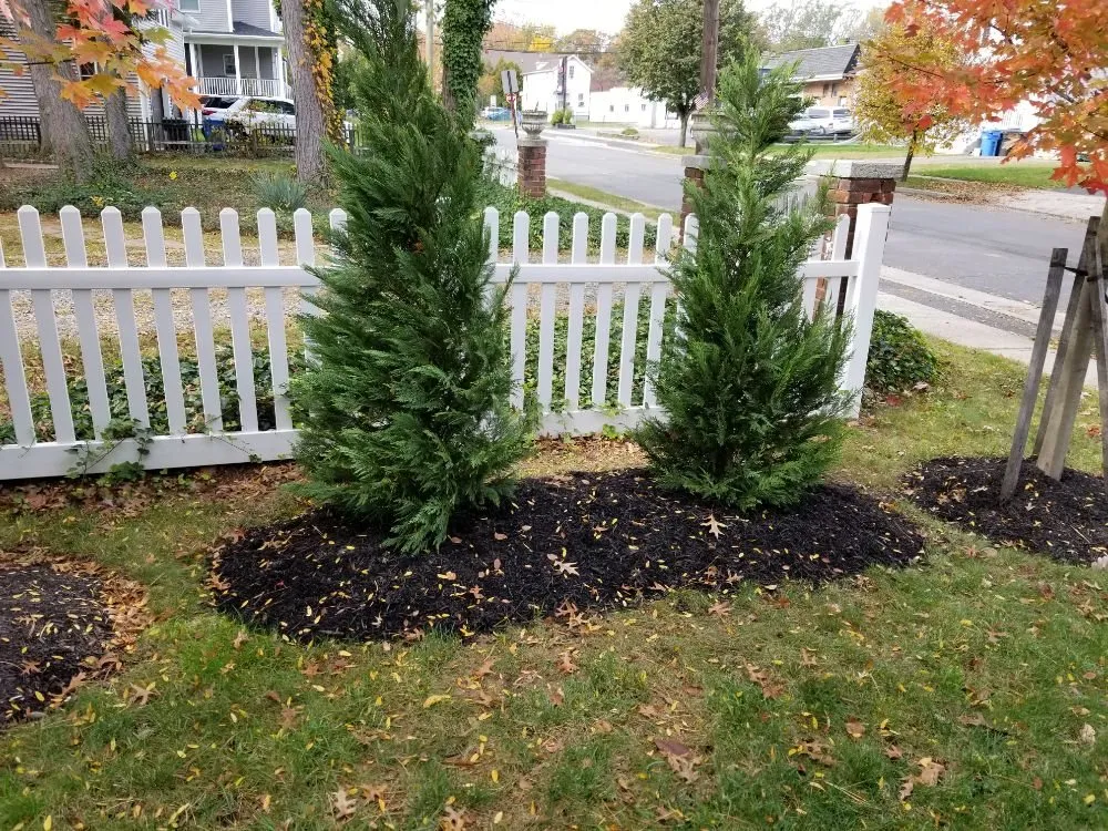 Reliable garden landscaping in Woodbridge, NJ - PSP Landscaping & Maintenance