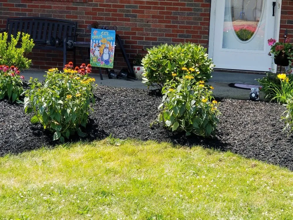 Reliable landscape design for year-round maintenance in Woodbridge, NJ by PSP Landscaping & Maintenance